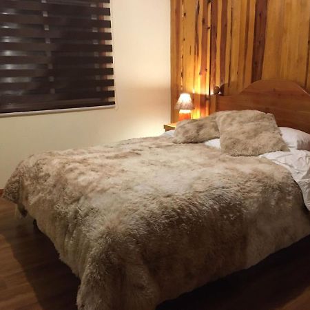 Ruka Pucon Hostel Dış mekan fotoğraf