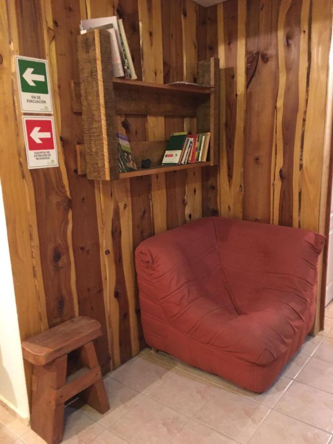 Ruka Pucon Hostel Dış mekan fotoğraf